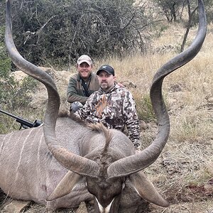 Kudu Hunt South Africa