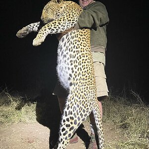 Leopard Hunting Zimbabwe