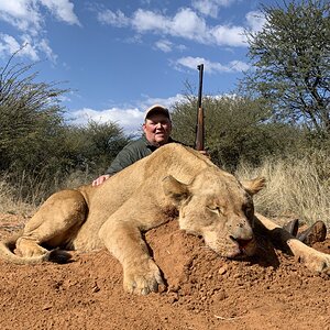 Lioness Hunt