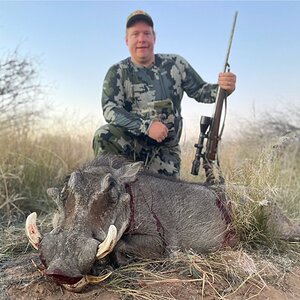 Warthog Hunting Namibia