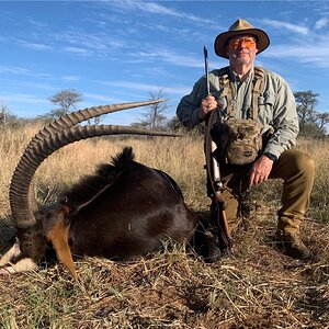 Sable Hunting Namibia