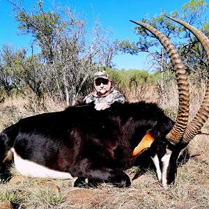 Sable Hunt Eastern Cape South Africa