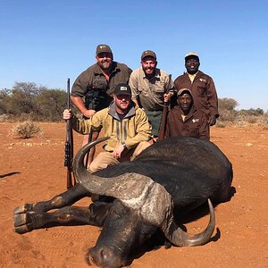 Buffalo Hunt Limpopo Province South Africa