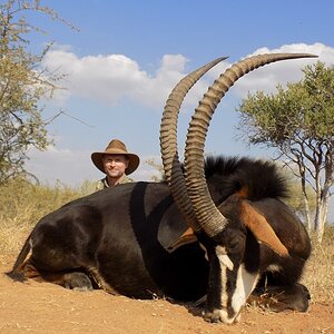 Sable Hunt Limpopo Province South Africa