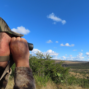 Glassing Wildlife Eastern Cape South Africa