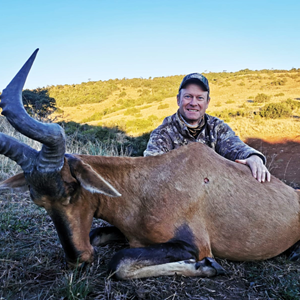 Red Hartebeest Hunting Eastern Cape South Africa