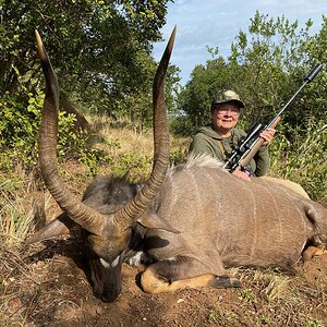 Nyala Hunt South Africa