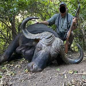 Buffalo Hunting Zimbabwe