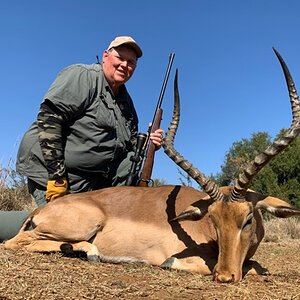 Impala Hunt South Africa