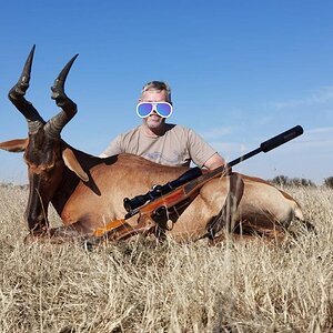 Red Hartebeest Hunt Free State South Africa