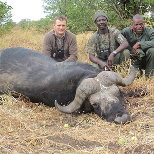 Buffalo Hunt Zimbabwe