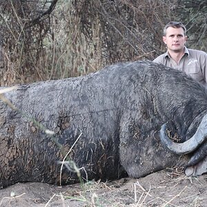 Buffalo Hunt Zimbabwe