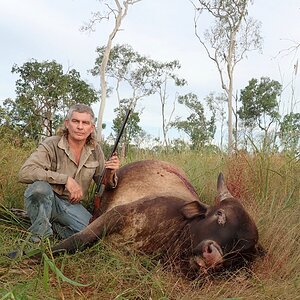 Wild Bull Hunting