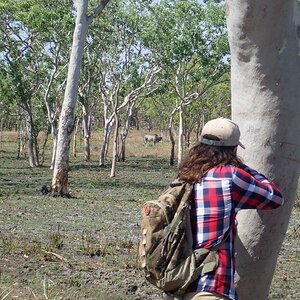 Australian Nature