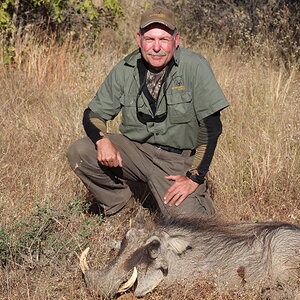 Warthog Hunting Namibia