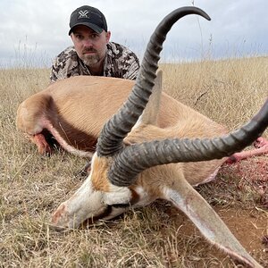 Springbok Hunting Eastern Cape South Africa