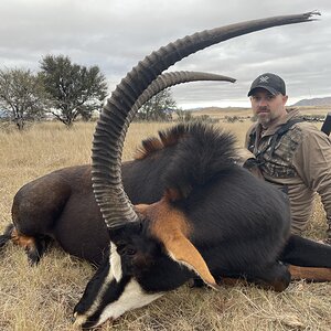 Sable Hunting Eastern Cape South Africa