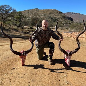 Kudu Hunting Eastern Cape South Africa