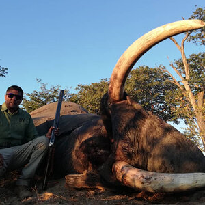 Elephant Hunting Botswana