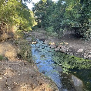 Zimbabwe Nature