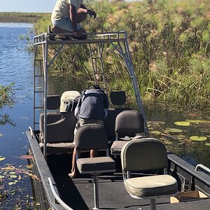 Okavango Delta Nature Botswana