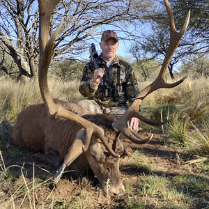 Red Stag Hunting Argentina