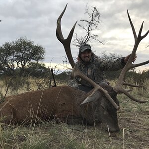 Red Stag Hunting Argentina