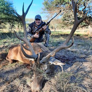 Red Stag Hunting Argentina