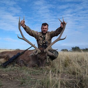 Red Stag Hunting Argentina