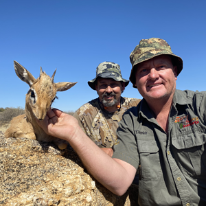 Damara Dik-Dik Namibia