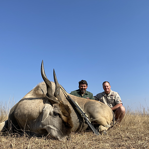 Eland Hunting Namibia