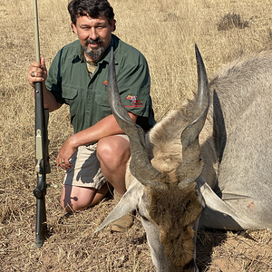 Eland Hunting Namibia