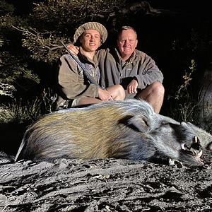 Bushpig South Africa Hunt