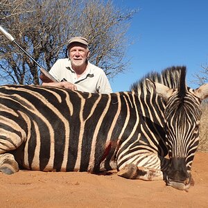 Zebra Hunt South Africa