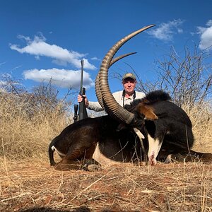 Sable Hunting South Africa