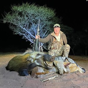 Bushpig Hunting South Africa