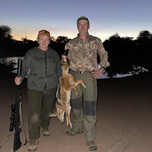 Jackal Hunting South Africa