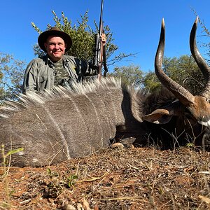 Nyala Hunting South Africa