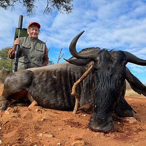 Blue Wildebeest Hunting South Africa