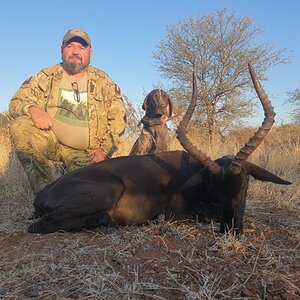 Black Impala Hunting South Africa