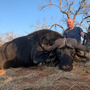 Buffalo Hunting South Africa