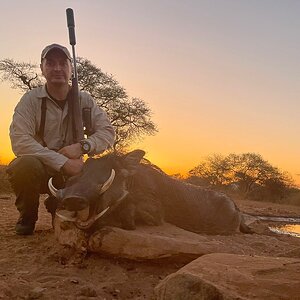 Warthog Hunting South Africa