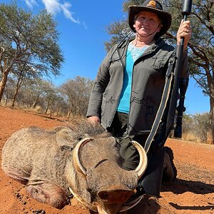 Warthog Hunting South Africa