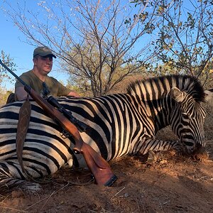 Zebra Hunting South Africa