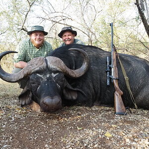 South African Buffalo Hunt