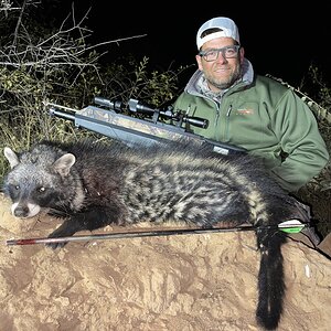 Civet Hunt South Africa