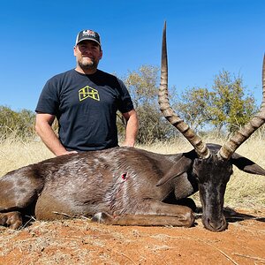 Black Impala Hunt South Africa