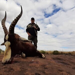 Blesbok Hunt South Africa