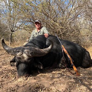 Hunting Buffalo South Africa