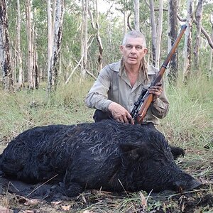 Hunting Pig Australia